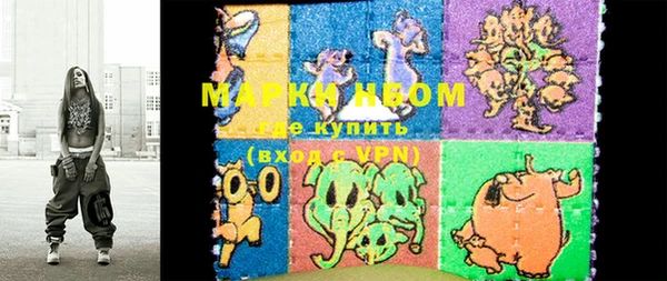 ECSTASY Покров