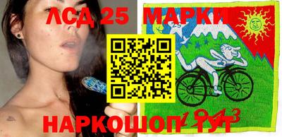 шишки Краснознаменск