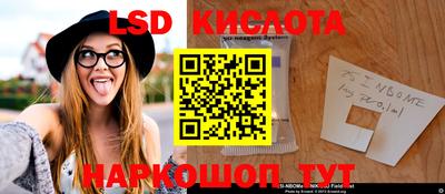 шишки Краснознаменск