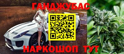 гидра Краснокаменск
