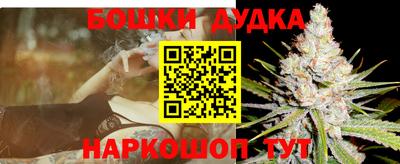 гидра Краснокаменск