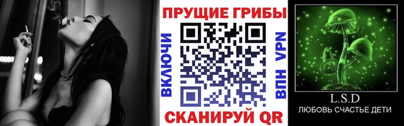 купить   Жуковский  Псилоцибиновые грибы прущие грибы 