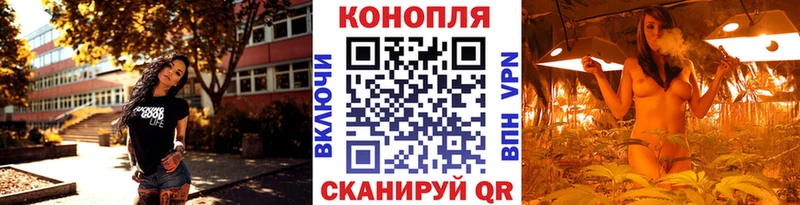 mega как зайти  продажа наркотиков  Жуковский  Шишки марихуана гибрид 